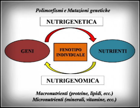 Significato di nutrigenetica